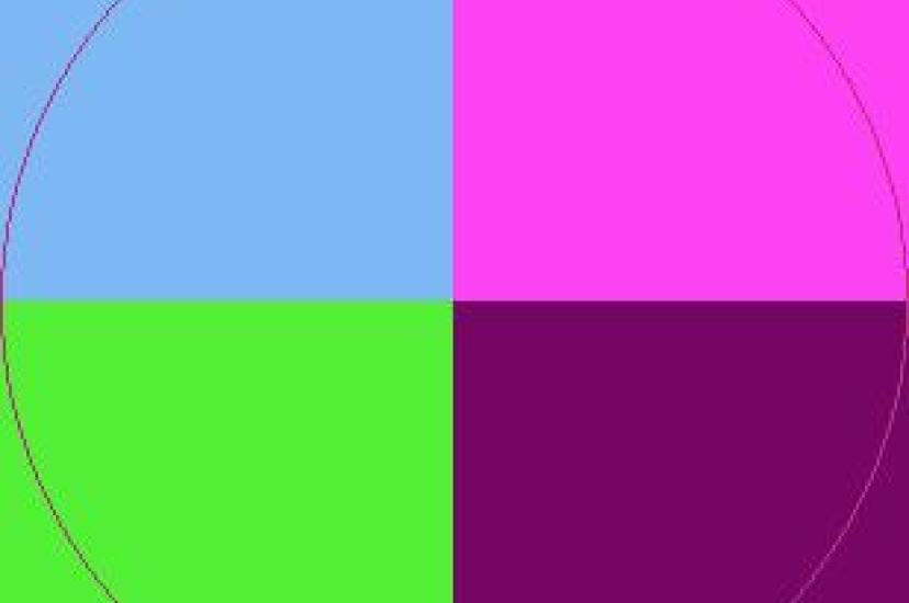 Damnum dolore exputo metuo neo utrum.